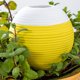 thumbnail image 4 of Bearachild Herramienta de riego de plantas DIY fácil y conveniente para todos los jardineros autorriego para riego de jardines Jardín y Patio, 4 of 6