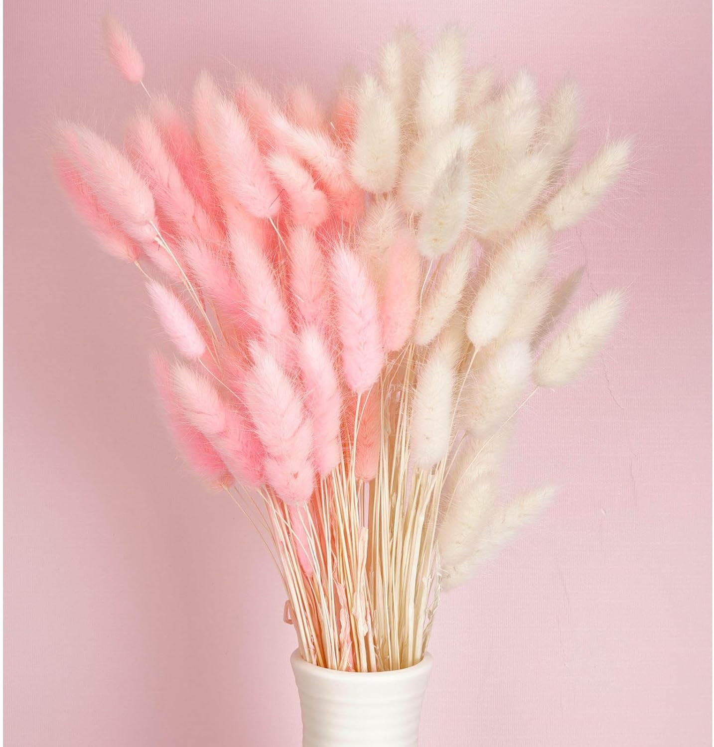 Bunny Tail Pampas Grass Dried Flowers for Vase Boho Flowers Dried Wedding Decor Dry Flowers for Vase Wedding Decorations Supplies - Valentine's Day Decoration(White 50PCS+Pink 50PCS)