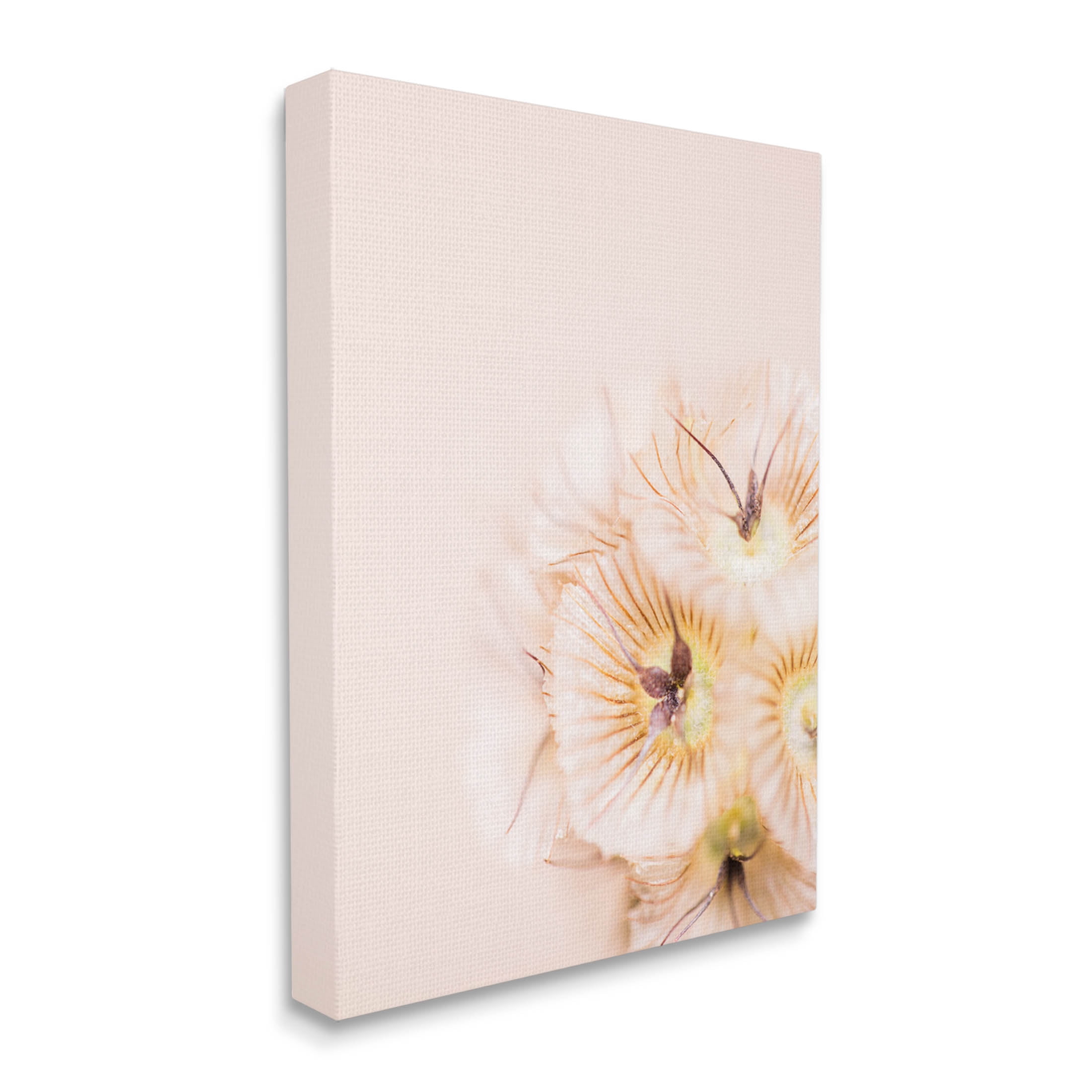 Close Up Pink Flower Anther Botanical & Floral Photograph Gallery Wrapped Canvas Print Wall Art