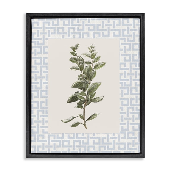 Stupell Industries Transitional Fresh Herb on Geometric Black Floating Frame Canvas Art, 17 x 21, by Diannart