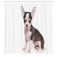 thumbnail image 3 of Ambesonne Chihuahua Shower Curtain, Ears Innocent Eyes, 69"Wx75"L, Pale Eggshell and Taupe, 3 of 5