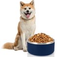 thumbnail image 1 of Comedero para perros Blue-Dog, a prueba de derrames (1 unidad) 64 oz, 1 of 5