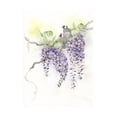 thumbnail image 1 of Wisteria, Animals Botanical Unframed Giclee Print Wall Art by The Tangled Peacock Sold by ArtCom, 1 of 4