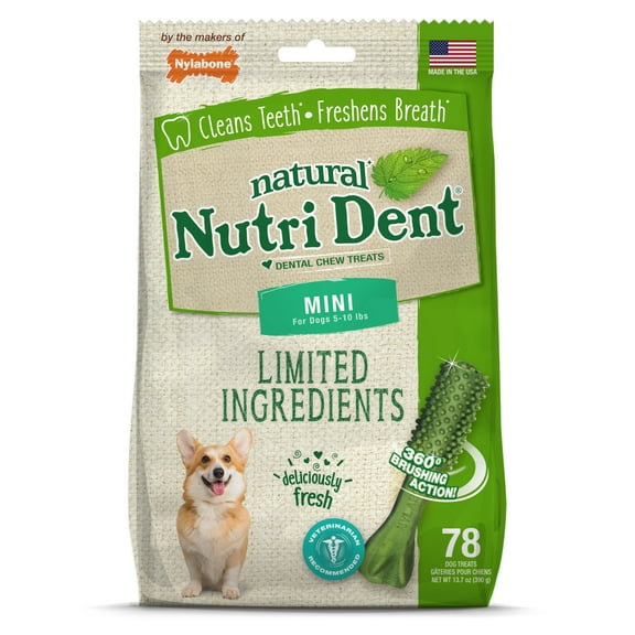 Nylabone Nutri Dent Fresh Breath Flavored Dental Dog Chew Treats Mini (78 Count)