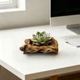 thumbnail image 3 of Outdor Modern Ceramic With Hole For Indoor Decorative Succulent Container, 3 of 3
