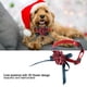 thumbnail image 2 of Collar Para Mascotas Pet Bowknot Flower Neck Collar Correa Ajustable Dog Cat Puppy Bow CollarsRed M, 2 of 7