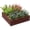 Effet Bois Brun Foncé, variante sur Outsunny Bac de Jardin Surélevé Galvanisé 4 Pieds x 4 Pieds x 1 Pieds, Vert Foncé