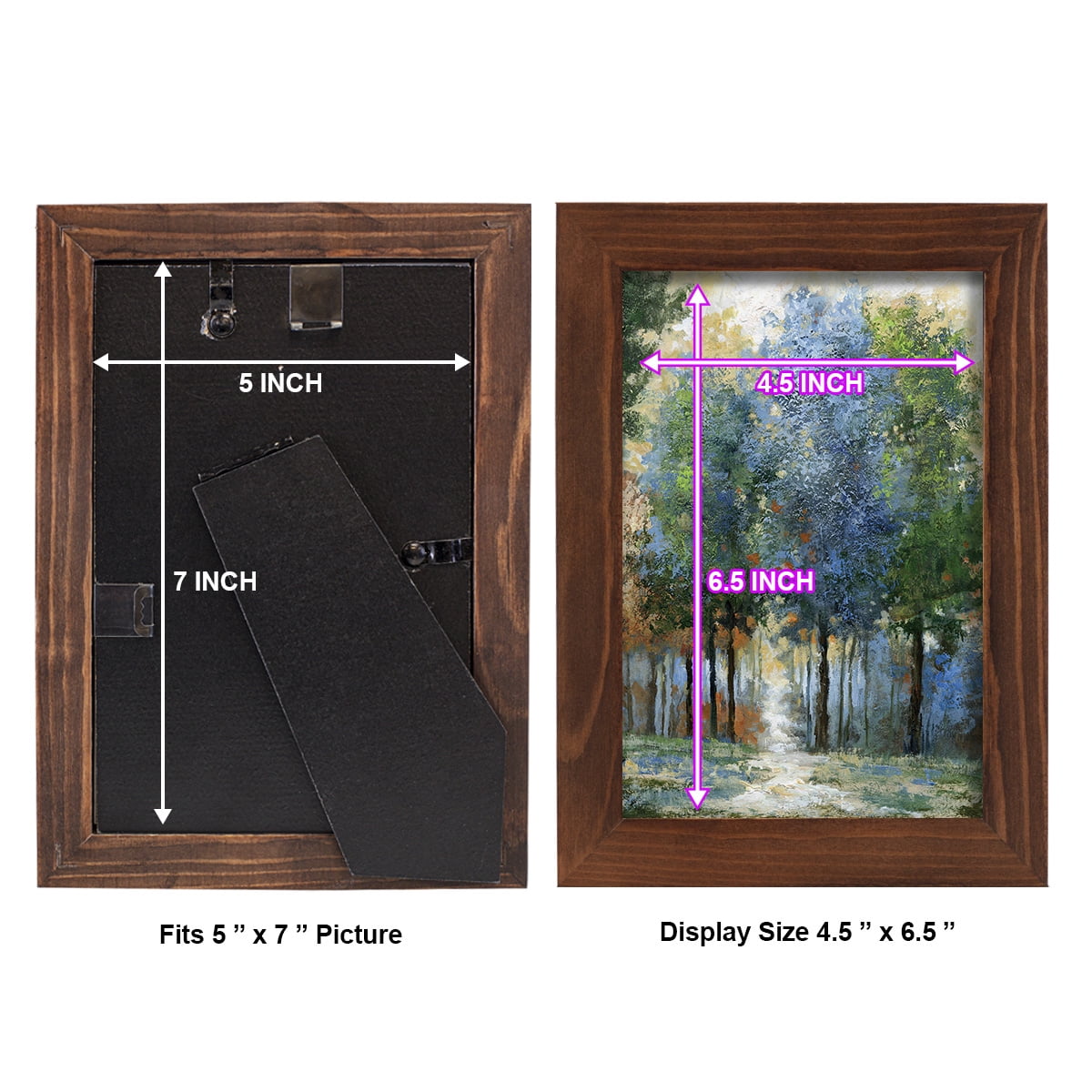 Afternoon Light -Framed Print w/glass-Chestnut