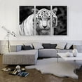 thumbnail image 2 of ARTCANVAS White Tiger Staring Blue Eyes Pop Canvas Art Print - Size: 60" x 40" (1.50" Deep) (3-Piece), 2 of 9
