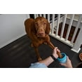 thumbnail image 4 of Limpiador Portátil de Patas Dexas Azul Mediano para Perro, 4 of 6