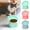 A,B,C, variant on Elevated Cat Food Bowl, Tilted Pet Feeding Dish with Anti-Vomiting Design for Cats and Small Dogs, Non-Slip Raised Feeder for Comfortable Eating Posture
