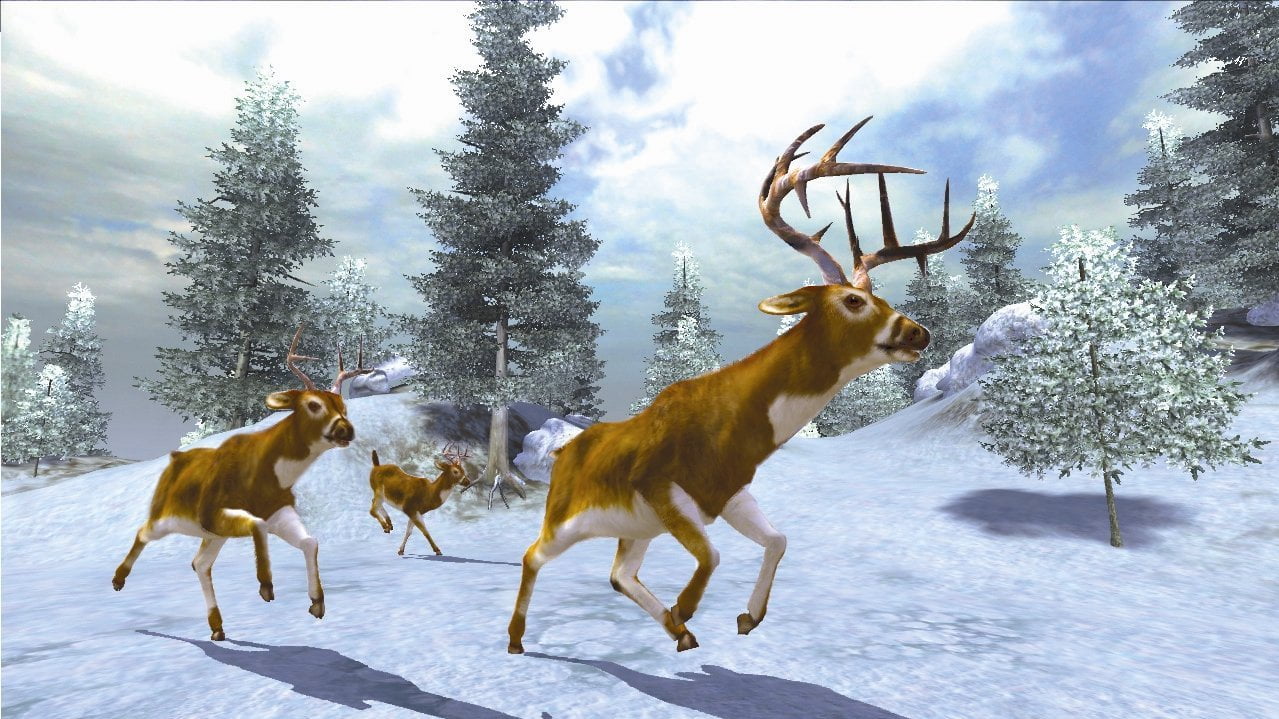 cabela's monster buck hunter wii