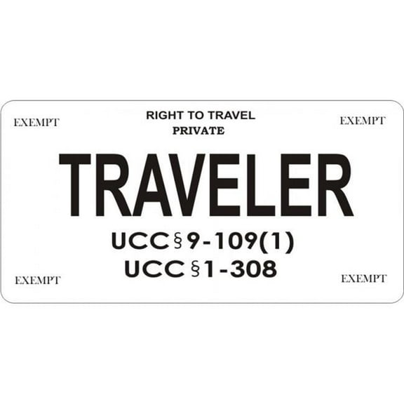 212 Main LPO5932 6 x 12 in. Right to Travel Traveler Photo License Plate