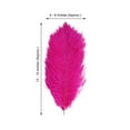 thumbnail image 3 of Efavormart 12 Pack | 13"-15" Fuchsia Natural Plume Real Ostrich Feathers Vase Centerpiece, 3 of 10