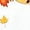 White, variant on Women’s “HELLO FALL” Pumpkin Leopard Plaid Graphic Short‑Sleeve T‑Shirt, Soft Breathable Crew Neck Autumn Halloween Thanksgiving Casual Top