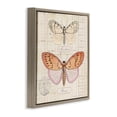 thumbnail image 3 of Stupell Industries Victorian Drawn Butterfly Studies Brown Floating Frame Canvas Art, 18 x 18, by Susan Arnot, 3 of 8