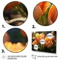 thumbnail image 3 of Designart "Vibrant Peach Tulips landscape" Floral Floater Framed Wall Art Print, 3 of 7
