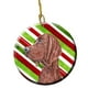 Carolines Treasures SC9803CO1 Redbone Coonhound Candy Cane Ornement en Céramique de Noël – image 1 sur 2