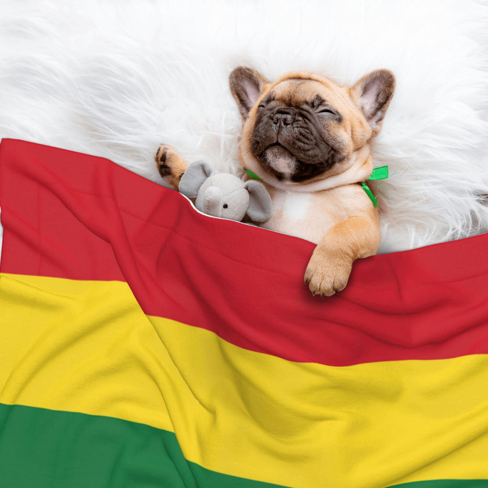 Flannel Throw Dog Blanket Reggae Rasta Flag Soft Warm Print Pet Blankets for Small Dog Cat Puppy