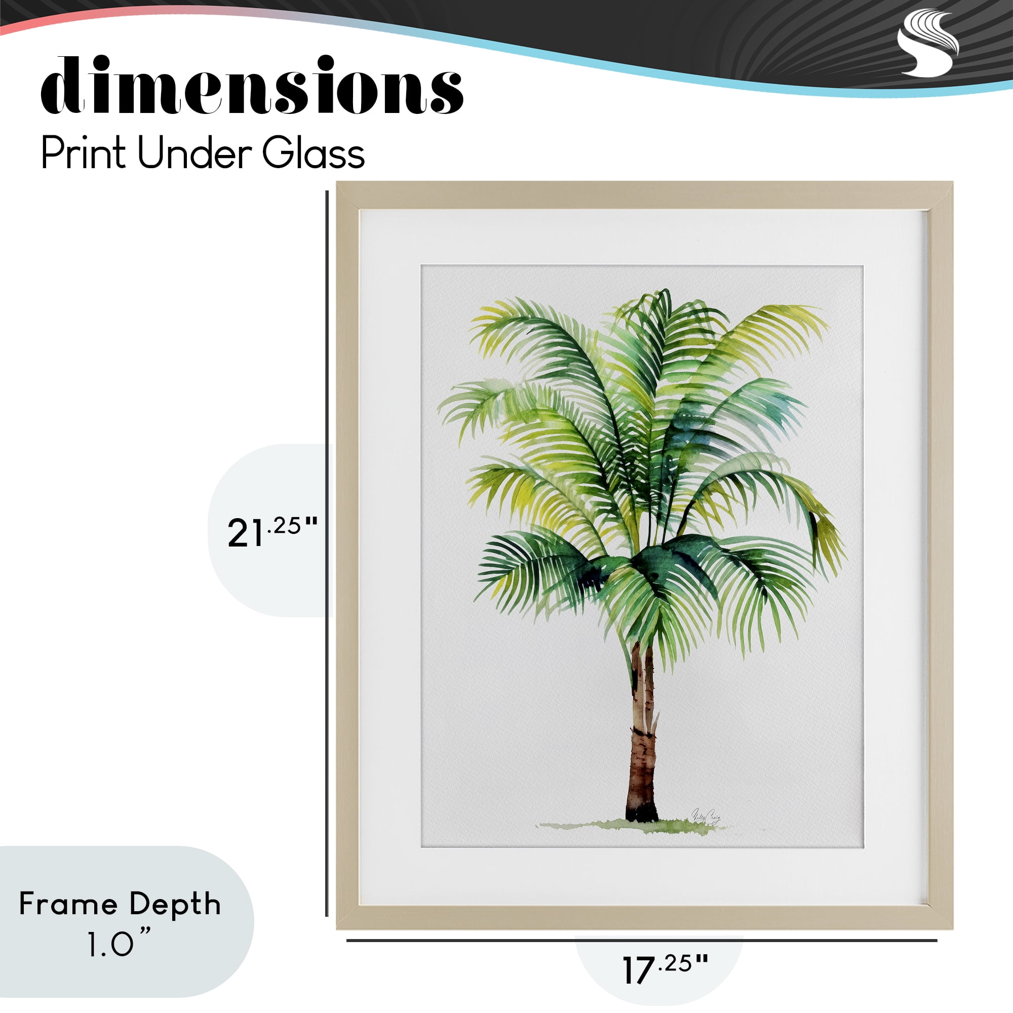 Stupell Industries Breezy Fronds Palm Birch Framed Print Under Glass, design by Shelly Craig