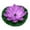 A-19Purple, variant on WYanRUI Solar Floating Flower Water Fountain with 6 Spray Nozzles, Solar Water Feature for Bird Bath, Fish Tank, Small Pool and Backyard Garden Decor