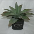 thumbnail image 2 of Jeco HD-BT011 11 in. Artifical Succulent Garden, 2 of 2