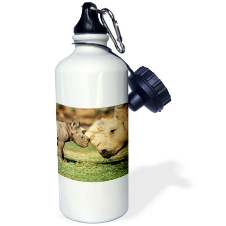 

3dRose Africa Captive Southern White Rhino with young. Sports Water Bottle 21oz