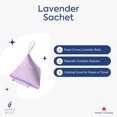 thumbnail image 2 of Terre Bleu Sachet Pyramide Lavande, 25g (3), 2 of 2