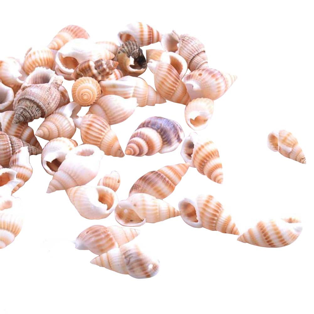 GOOHOCHY 130pcs Hand Decor Ocean Decor Shells for Decoration Ocean Conch  Mini Ornament Tiny sea Cowrie Shells Small White Shell Decoration Handmade