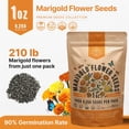 thumbnail image 5 of Marigold Flower Seeds Pack 1 oz - Over 9,250 Non-GMO Heirloom Flower Seeds for Planting, Annual Flowers in Individual Seed Packet for Planting Home Garden, 5 of 6