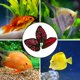 thumbnail image 4 of WEUVEB 4Ud Hoja Plástica Roja Para Acuario Ornamentación Y Descanso Para Peces, 4 of 8