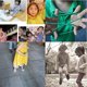 thumbnail image 3 of 2 piezas de cuerdas elásticas para saltar, juego de fitness para niños para hacer ejercicio al aire libre, 3 of 5