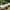 white, variant on Garden Shade Disk Umbrella Plants Shade Cover for Outdoor Plants,Sunblock Shade Cloth Outdoor,Sun Shade for Plants,Prefect for Your Garden,Potted Plant,Live Plant Outdoor