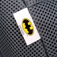 thumbnail image 3 of Silla para auto KidsEmbrace 2 en 1 con arnés y booster Batman, 3 of 6