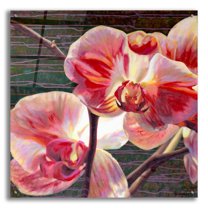 Epic Art 'Show Offs' by Jan Mclaughlin, Acrylic Glass Wall Art, 36"x36"