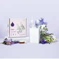 thumbnail image 3 of Safely Plugin Scent Diffuser, Air Freshener, Universal Refills, Calm Scent, .67 oz, 2 Count, 3 of 8