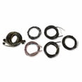 thumbnail image 2 of Holley EFI 558-436 Engine Control Module Wiring Harness, 2 of 4