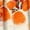 Orange, variant on QUNYINEY Womens Spring Tops Floral Casual Ruffle Short Sleeve V Neck Shirts Pleated Pullover Loose Tops