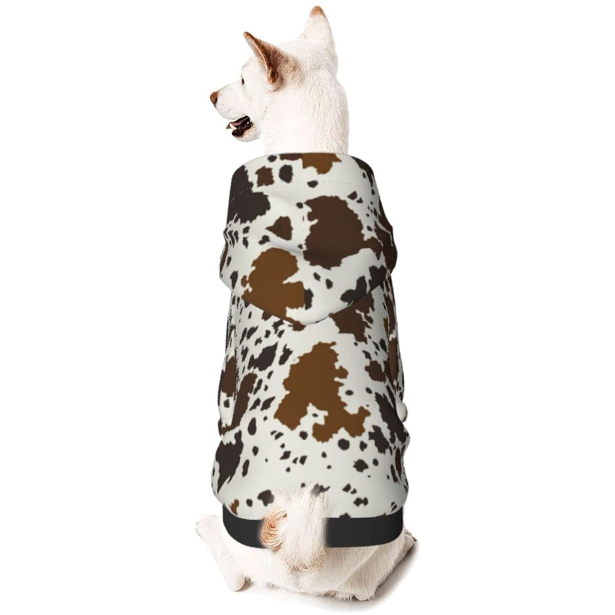 Is It Ok To Leave A Sweater On A Dog