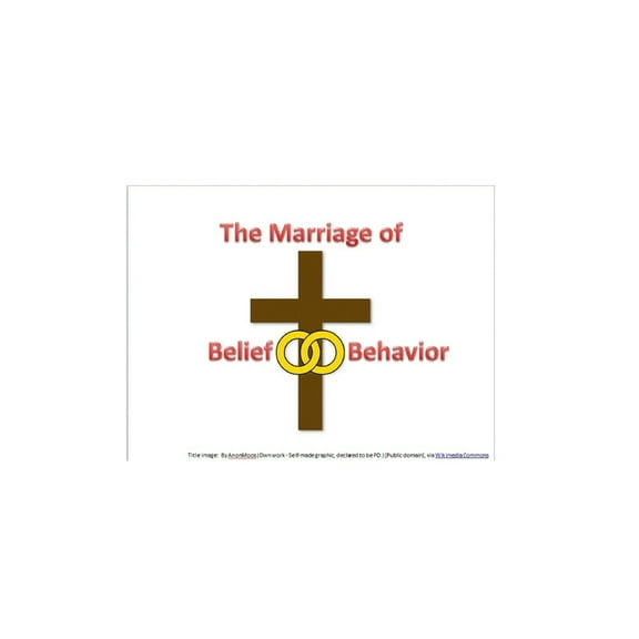 Paul's Letters Belief and Behavior: Meditations on the Revelation of Yahweh to His People through Paul's letter to the Ephesians, Book 5, (Paperback)