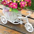 thumbnail image 4 of Wrrkayly Bicycle Design Flower Basket Storage DIY Party Home Garden Decoration, 4 of 4
