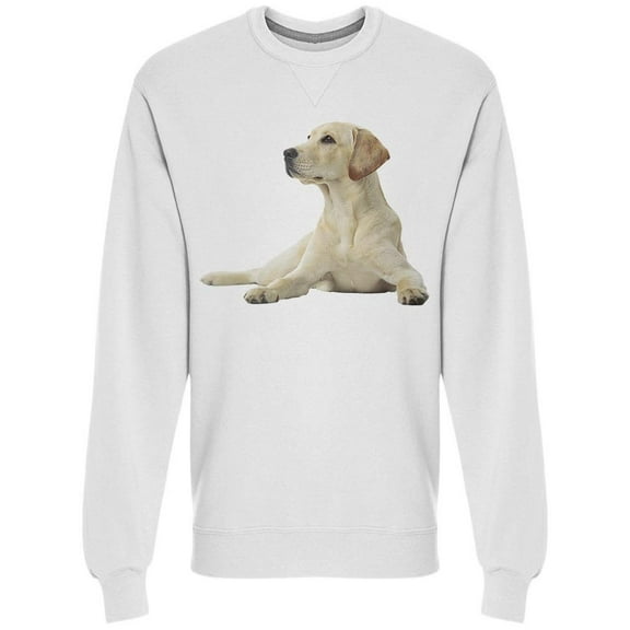 Labrador Retriever Beautiful Sweatshirt Men -Image by Shutterstock, Male Small