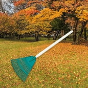 Colaxi Grass Leaf Rakes Garden Rake Tools Heavy Duty Mini Rakes for Lawns Leaf for Leaves Yard Dethatching Lawn Grass Grooming