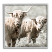 Stupell Industries Highland Cattle Pair Grazing Photograph Gray Framed Art Print Wall Art, Design by Danita Delimont