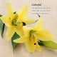thumbnail image 5 of Inteprter 6 piezas de PVC Artificial Lilys flor simulación reutilizable lavable portátil sala de estar planta falsa flores ornamento Flores artificiales Amarillo Inteprter HA084319-02, 5 of 6