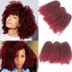 thumbnail image 1 of Paquete de 3 extensiones de cabello sintético para trenzas de ganchillo, estilo bob, rizado, afro, de 8 pulgadas, color burdeos (1B/Burg), 1 of 1