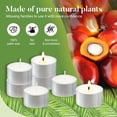 thumbnail image 3 of Paquete de 240 velas de té de cera de palma sin perfume de Hypmis, 6 horas de combustión, 3 of 9