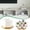 White, variant on Mini White Ceramic Succulent Planter Pot with Tray for Small and