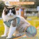 thumbnail image 3 of Arnés y correa para gatos sin cuello, chaleco ajustable a prueba de escapes para gatos Chaqueta para caminar para gatos con arnés de malla de aire (hy), 3 of 5
