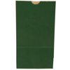 JAM Paper Kraft Lunch Bags, 6x11x3.75, Dark Green, 500/Box, Large
